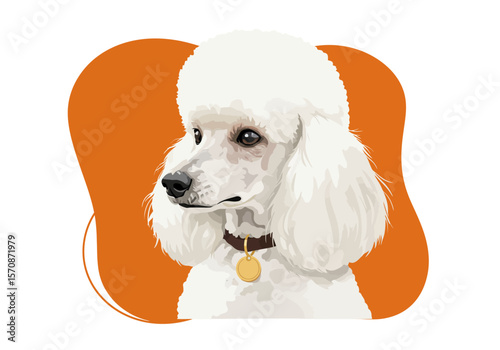 Elegant portrait of a white Poodle with a classic haircut.