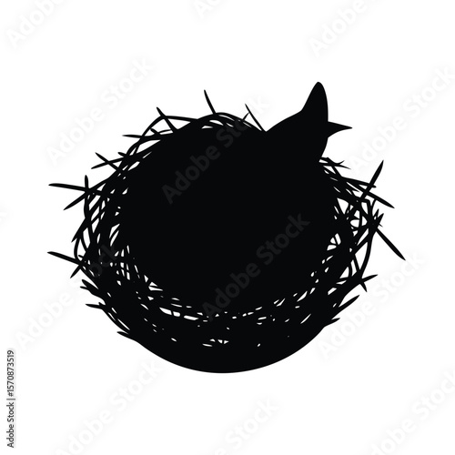 bird nest