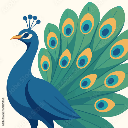 Majestic Peacock Displaying Vibrant Tail Feathers