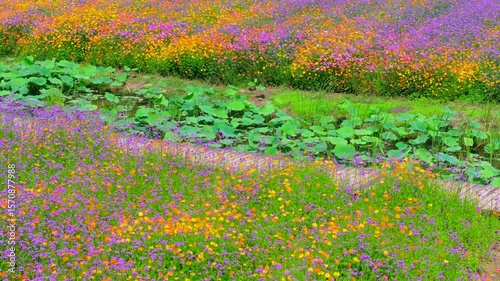 Wuhan Hua Bo Hui Scenic Spot Spring Scenery