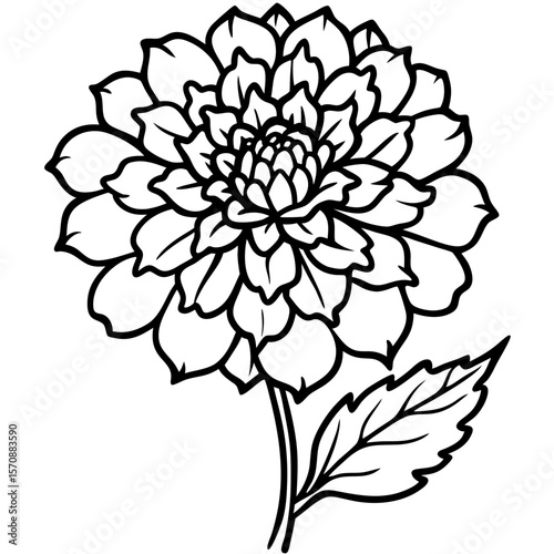Marigold art vector