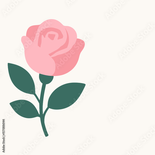 Minimal Pink Rose Bloom With Green Leaves