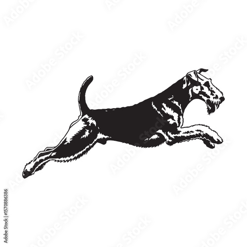 Alert Airedale Terrier digital black silhouette, rendered perfectly for clarity and appeal - Airedale Terrier silhouette - Airedale Terrier Vector - Silhouette of Airedale Terrier - dog silhouette

