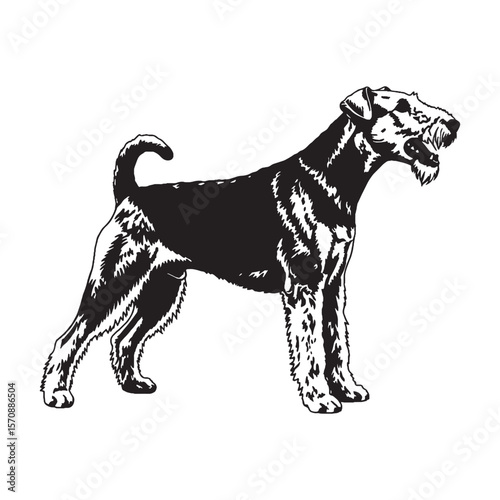 Versatile Airedale Terrier black vector asset, a truly modern digital image for diverse uses - Airedale Terrier silhouette - Airedale Terrier Vector - Silhouette of Airedale Terrier - dog silhouette

