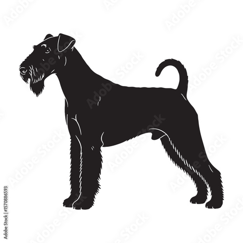 Recognizable Airedale Terrier digital black vector, representing the breed's unforgettable appearance - Airedale Terrier silhouette - Airedale Terrier Vector - Silhouette of Airedale Terrier - dog vec