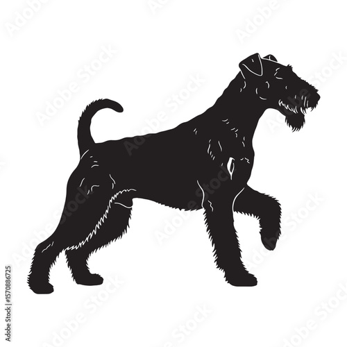 Intelligent Airedale Terrier canine digital black silhouette, showcasing its distinctive and keen form - Airedale Terrier silhouette - Airedale Terrier Vector - Silhouette of Airedale Terrier - dog ve