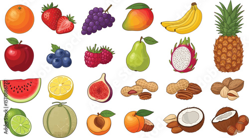 Collection of fresh fruits and nuts illustrated on a white background