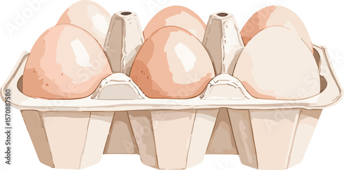 Eggs watercolor baking tools and ingredients vector illustration
