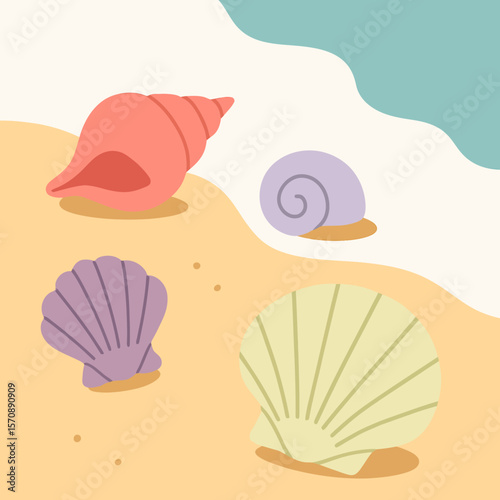 Colorful Sea Shells On Sandy Beach Shore