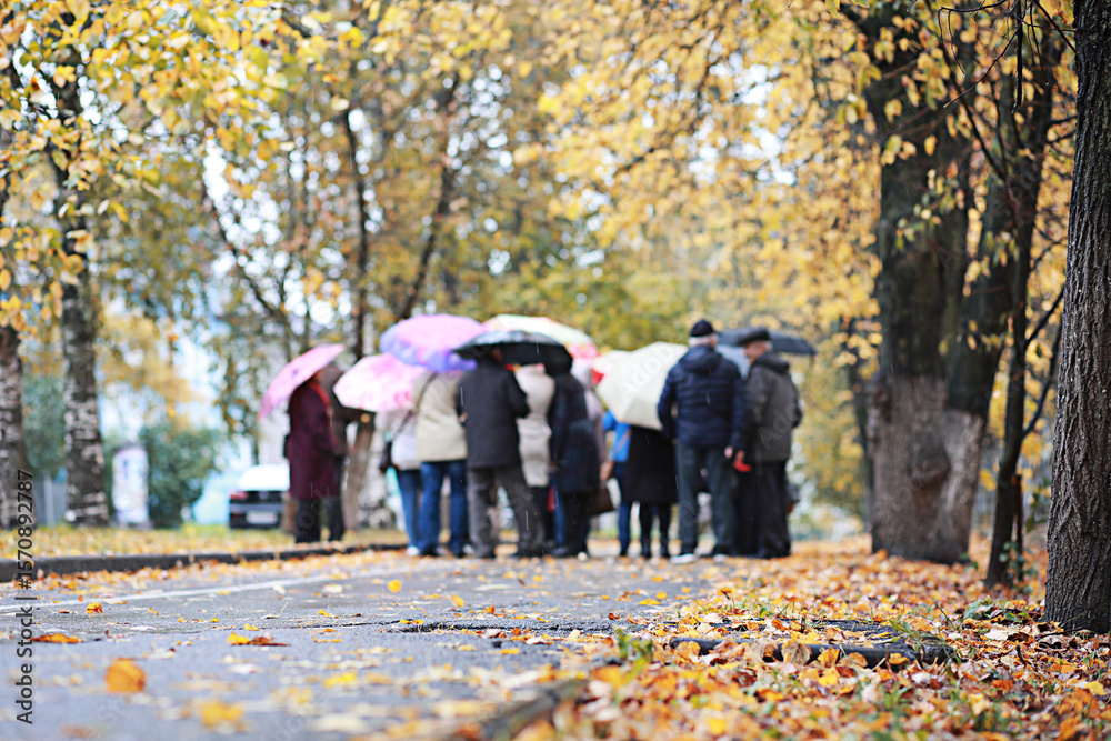 Fototapeta premium Autumn rain in the park