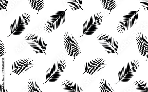 Black palm leaves pattern on white background leaf