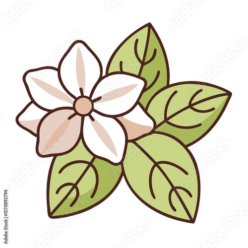 vector illustration of a flower