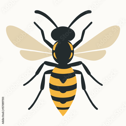 Simple Wasp With Yellow Stripes Isolated On White