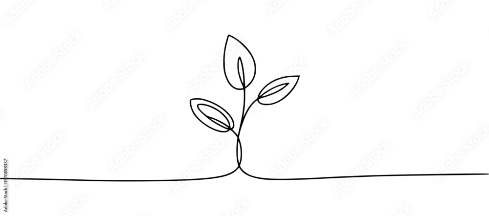 Obraz premium Minimalist line drawing of a growing plant with three leaves