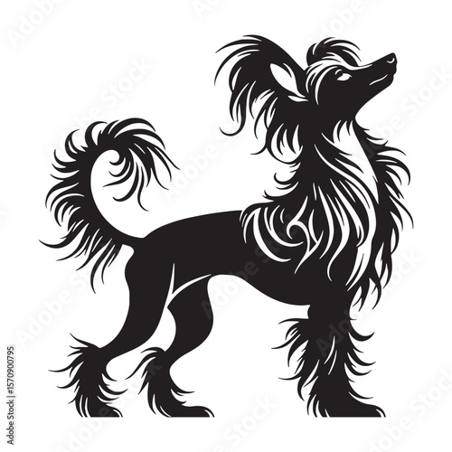 Exotic Chinese Crested digital black silhouette, embodying its rare and appealing features - Chinese Crested silhouette - Chinese Crested Vector - Silhouette of Chinese Crested - dog silhouette

