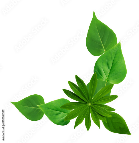 Green Leaves