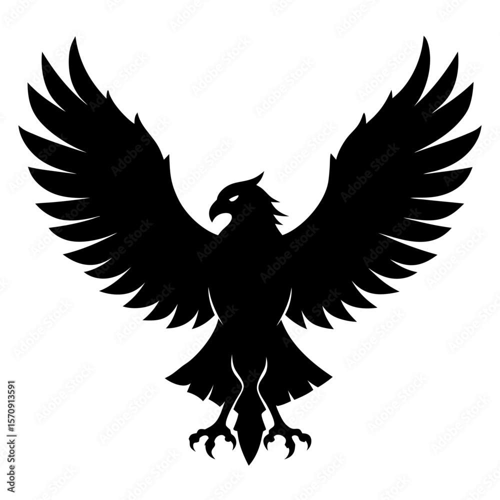 Obraz premium eagle with wings