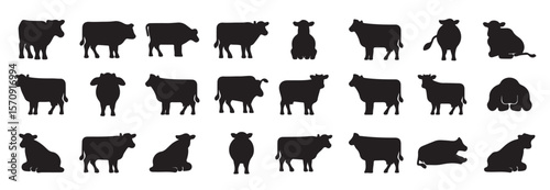  series images cows pig with white background