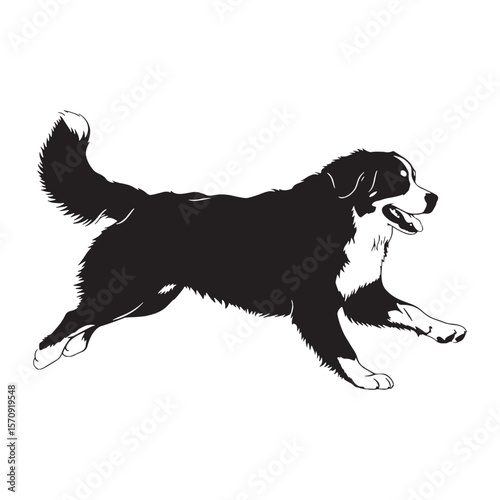 Clean Bernese Mountain Dog digital black artwork, professionally crafted and flawlessly polished - Bernese Mountain Dog silhouette - Bernese Mountain Dog Vector - Silhouette of Bernese Mountain Dog

