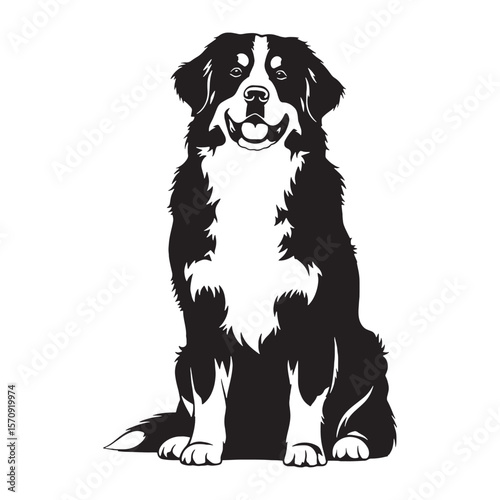 Standard Bernese Mountain Dog digital black vector, a classic and easily adaptable option - Bernese Mountain Dog silhouette - Bernese Mountain Dog Vector - Silhouette of Bernese Mountain Dog

