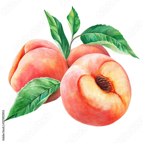 Three ripe peaches with green leaves are isolated on transparent background