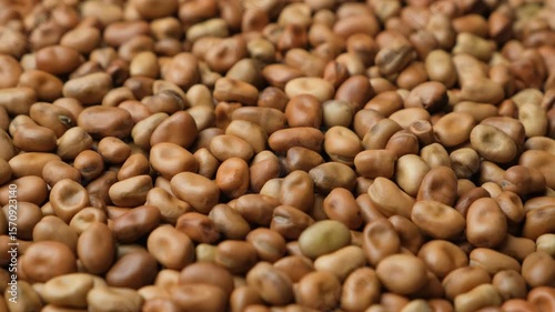 Edible Horse Garden Beans Vicia Faba Macro Rotate
