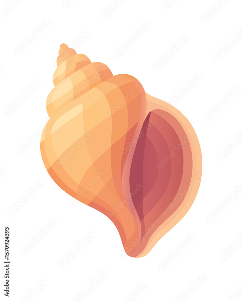 Fototapeta premium Detailed Illustration of a Spiral Seashell