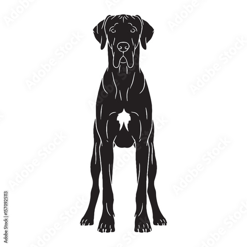 Noble Great Dane canine digital black silhouette, showcasing its distinctive and massive form - Great Dane silhouette - Great Dane Vector - Silhouette of Great Dane - dog vector

