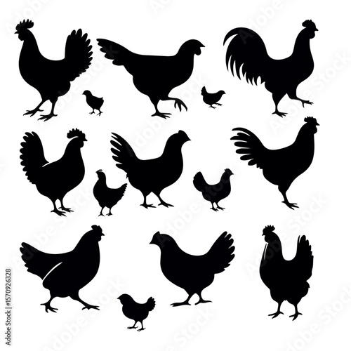 Chicken Family Silhouette – Black Vector Rooster, Hen, and  Chicks in Sideview on White Background