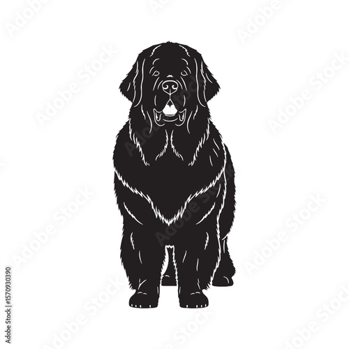 Loyal Newfoundland dog black vector graphic, reflecting its devoted and calm temperament - Newfoundland dog silhouette - Newfoundland dog Vector - Silhouette of Newfoundland dog

