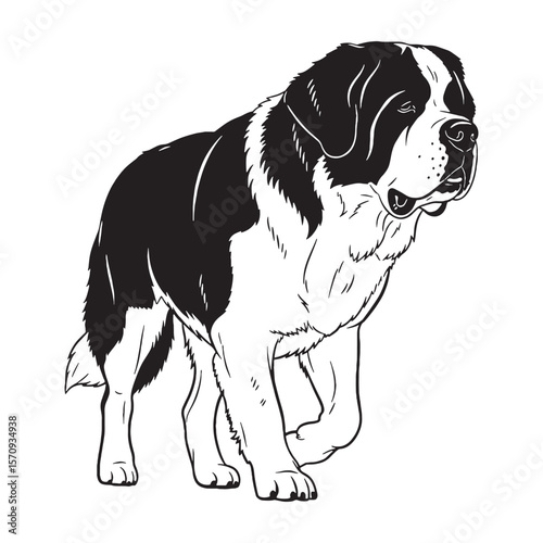 Photos Majestic Saint Bernard digital black vector artwork, ideal for a variety of arti