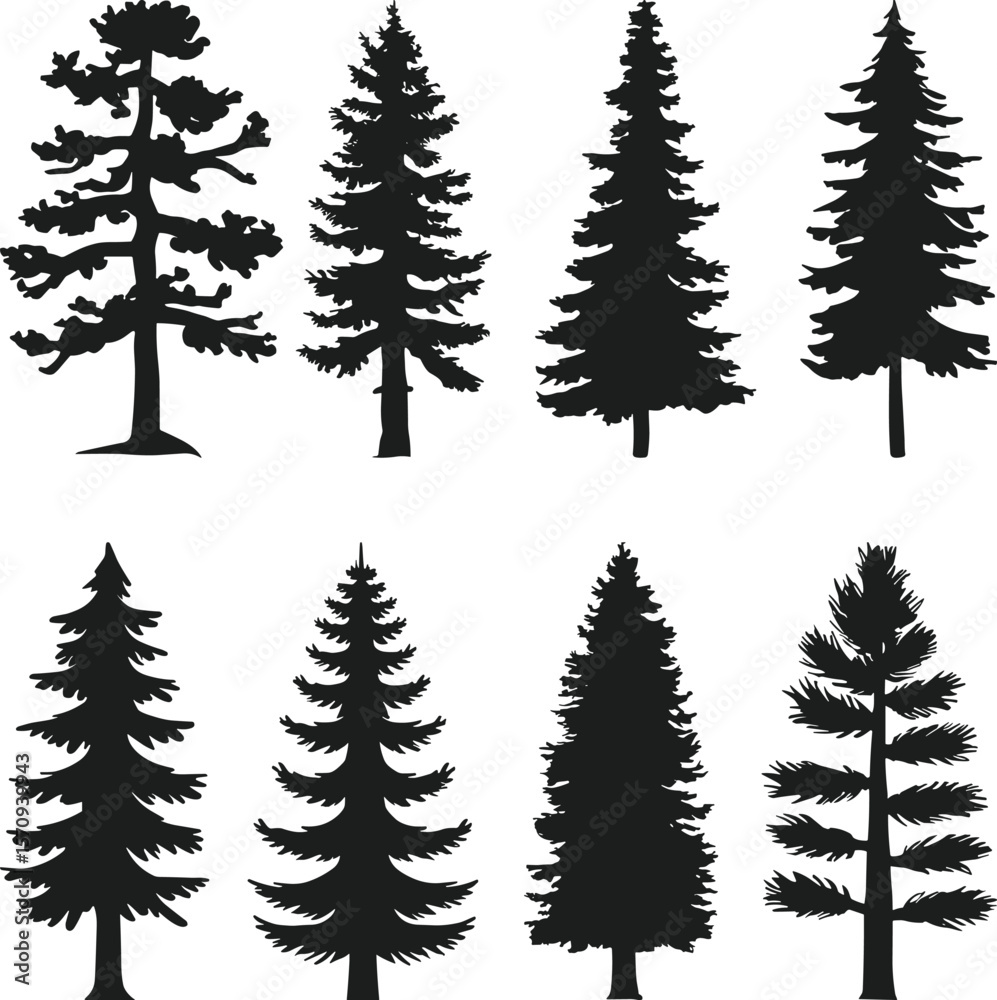 Obraz premium Set of Evergreen Tree Silhouettes – Hand-Drawn Pine and Fir Tree Vector Collection