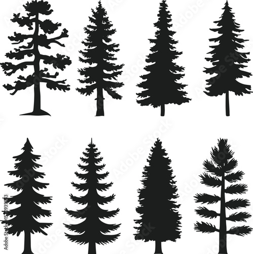 Set of Evergreen Tree Silhouettes – Hand-Drawn Pine and Fir Tree Vector Collection