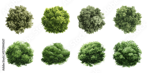 Top View Lush Green Trees Illustration Set. Garden Design And Environmental Planning Resource Collection. Isolated Vector Illustration