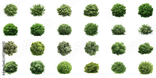 Top View Green Foliage Illustration Set. Landscape Architecture And Environmental Design Collection. Natural Elements For Planning. Isolated Vector Illustration