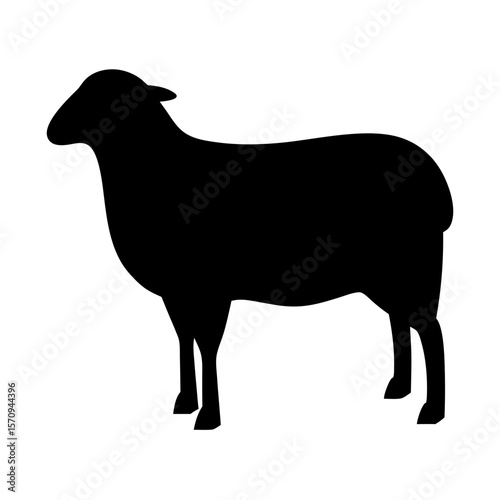 Full silhouette of a sheep standing on a white background looking left