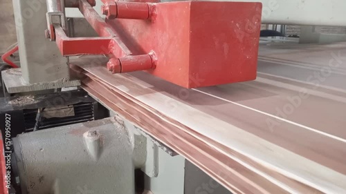 Automated Saw Machine Slicing Plywood Board