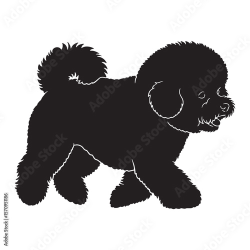 Joyful Bichon Frise black vector graphic, reflecting its cheerful and spirited temperament - Bichon Frise silhouette - Bichon Frise Vector - Silhouette of Bichon Frise - dog silhouette

