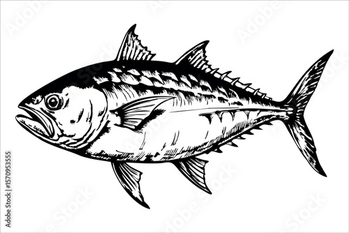 A detailed illustration of a tuna fish, showcasing its streamlined body, sharp fins, and distinctive markings. The fish is depicted in a side view, emphasizing its features.