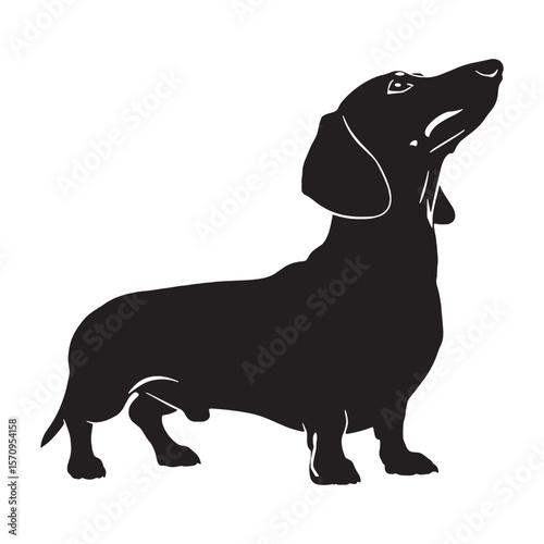 Premium Dachshund digital black artwork, a valuable element perfect for professional presentations - Dachshund silhouette - Dachshund Vector - Silhouette of Dachshund - dog vector


