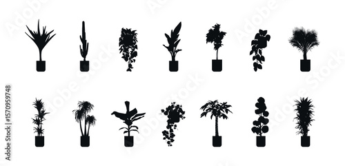 Set of vector illustrations of silhouettes of plants in a pot. Indoor plants. Interior design elements - indoor potted plant for architectural projects of buildings and structures