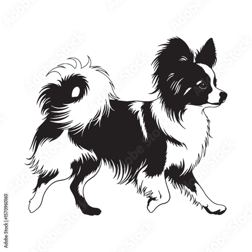 Lively Papillon black vector graphic, reflecting its spirited and cheerful temperament - Papillon silhouette - Papillon Vector - Silhouette of Papillon - dog silhouette

