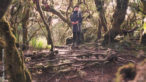 hiker in rainforest near mount pulag, Philippines 