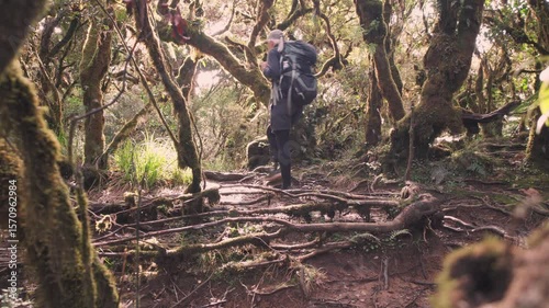 hiker in rainforest near mount pulag, Philippines 