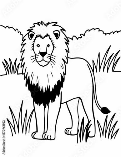 animal