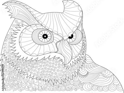 Stylized owl portrait with elaborate patterns, a mystical nocturnal bird design for coloring pages and artistic applications.