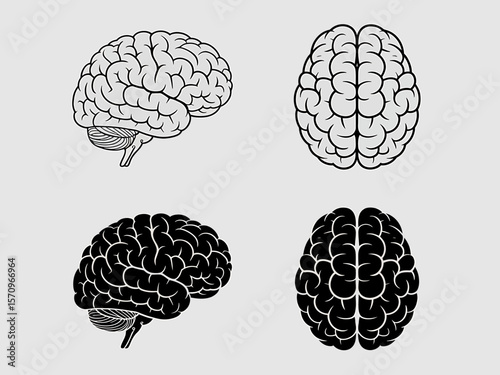 Two stylized human brains shown in side and top views with contrasting line art and silhouette styles
