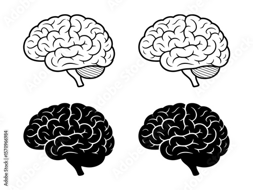 Two outline and two silhouette human brain illustrations side by side