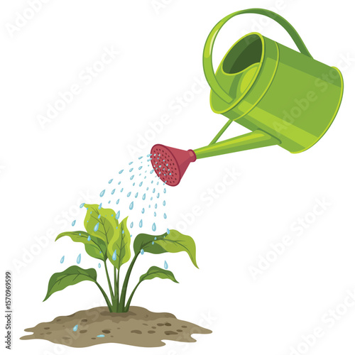 Green watering can pouring water onto a healthy green plant in soil