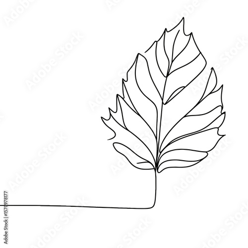 Minimalistic continuous line drawing of leaf, black and white botanical illustration for nature, eco or organic concept with copy space